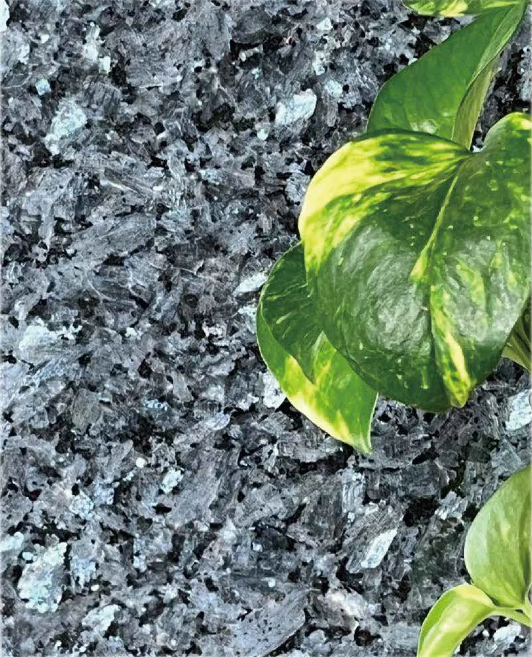 松下産業の「ブルーパール」