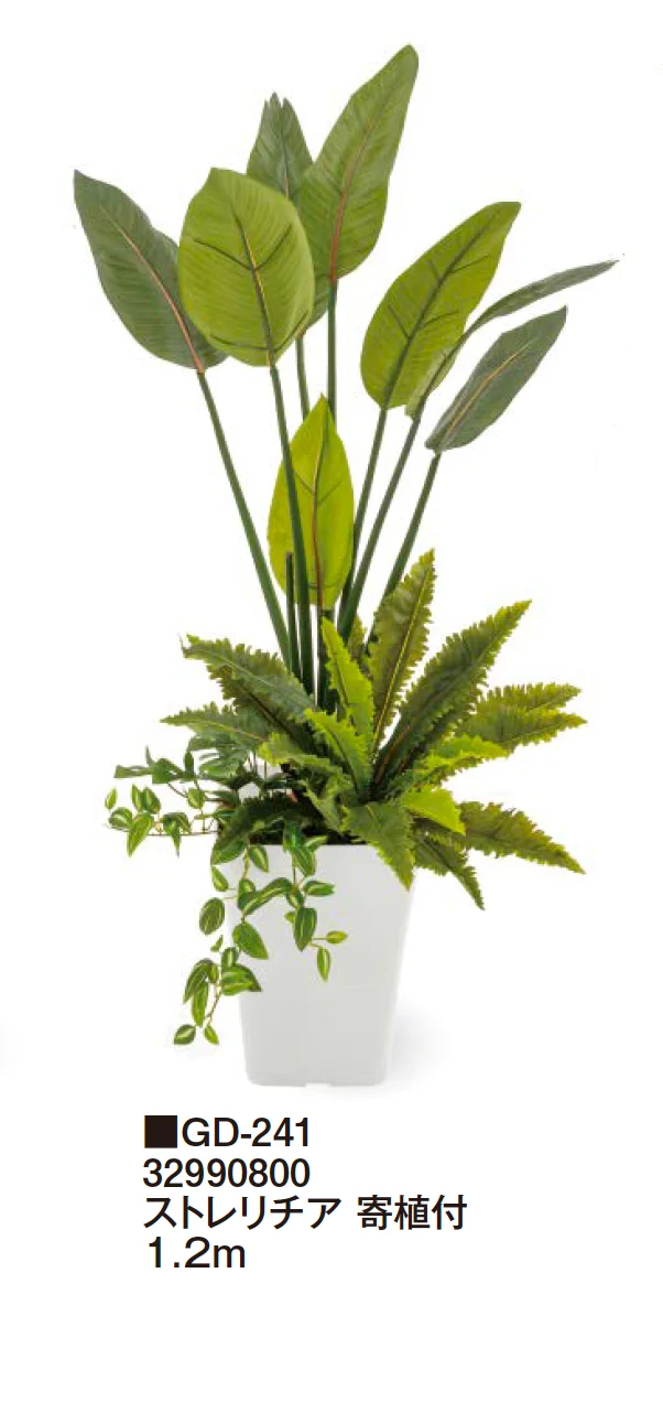 タカショーの「観葉植物【2024年版】」のサブ画像18