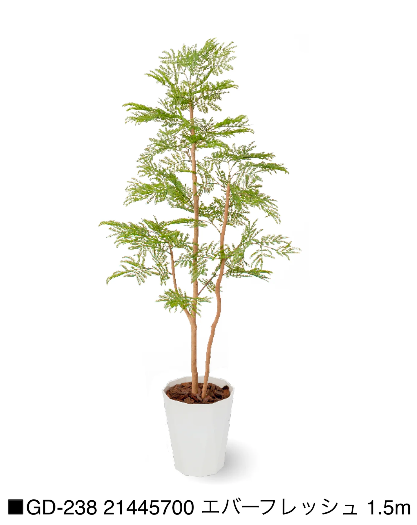 タカショー | 観葉植物【2025年版】 | 建材サーチ
