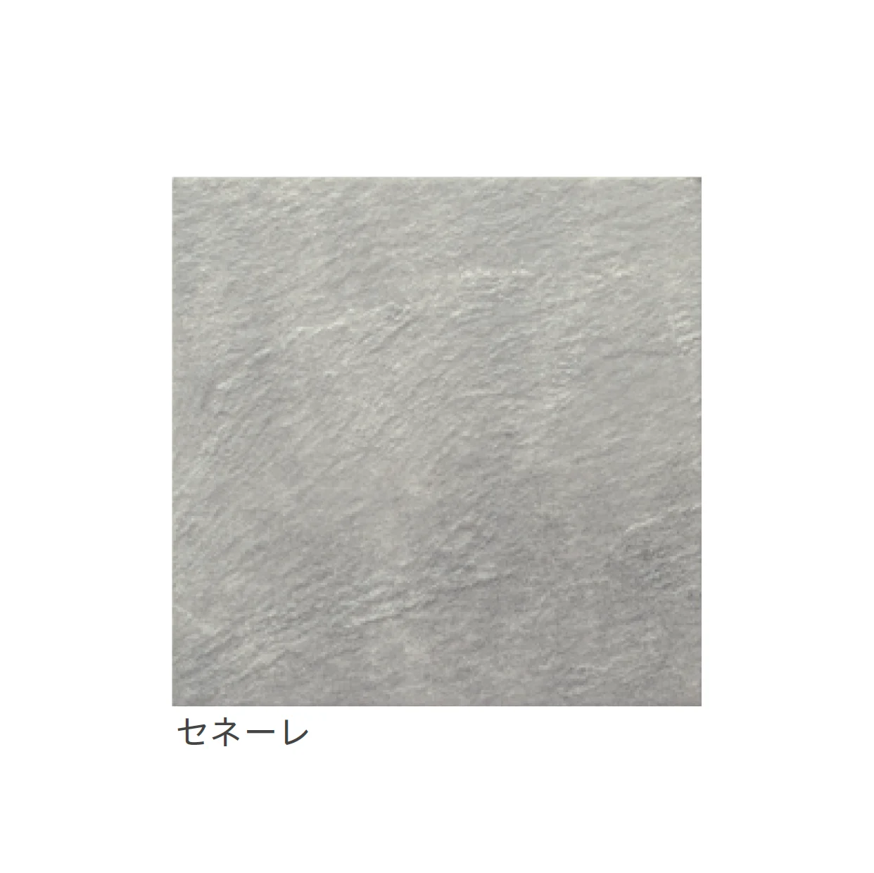 リビエラの「アルケティポ【限定品】」のサブ画像4