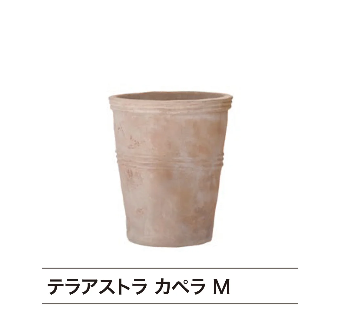 ゆとりの「TERRA ASTRA テラアストラ」のサブ画像1