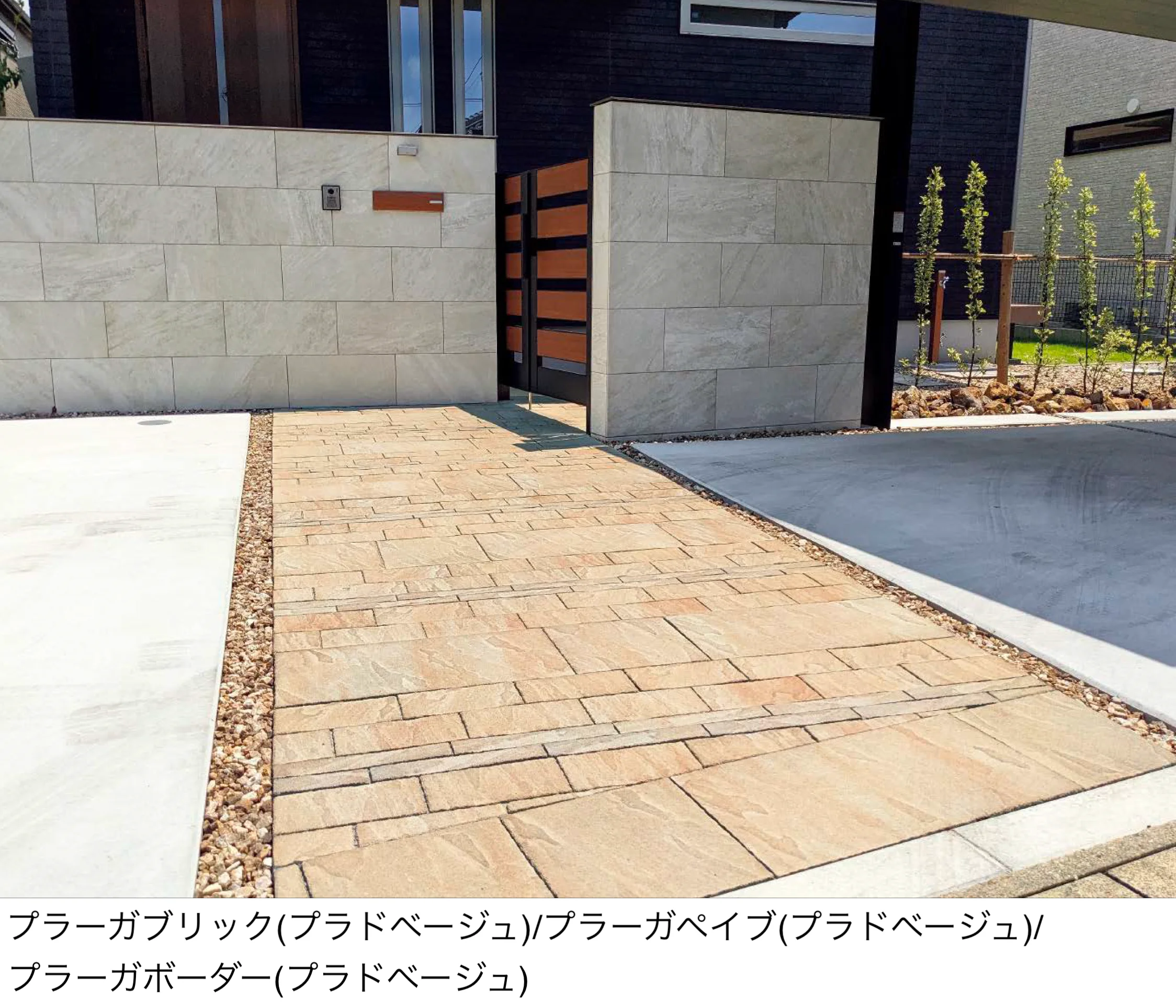 東洋工業の「プラーガブリック」のサブ画像1