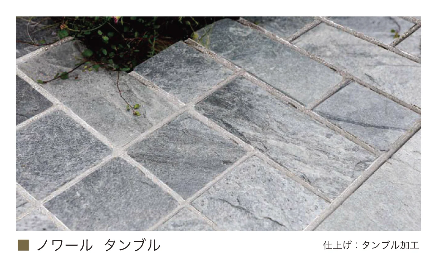 オンリーワンクラブの「ノワール(インド粘板岩)【2025年版】」のサブ画像6