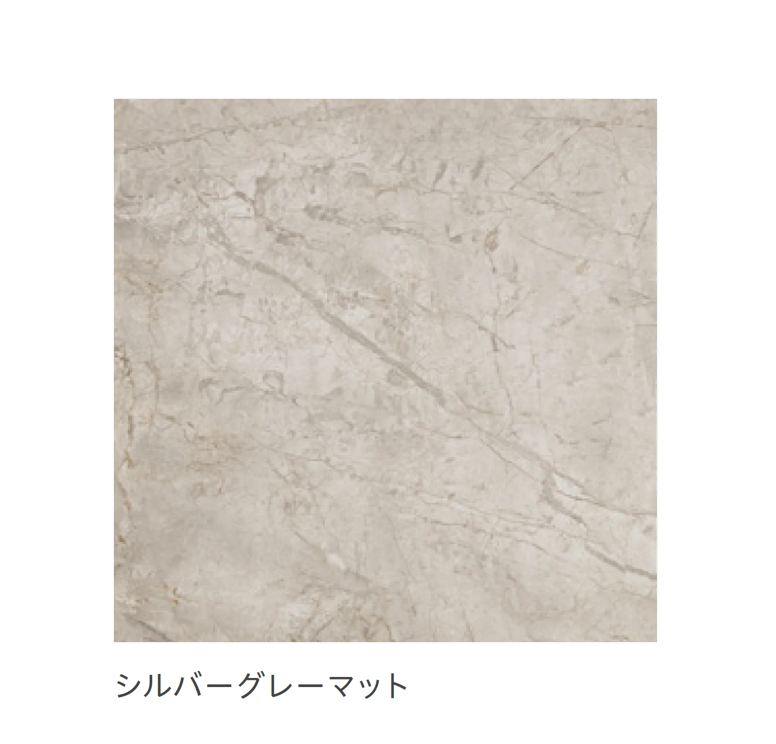 リビエラの「ルクシア」のサブ画像14