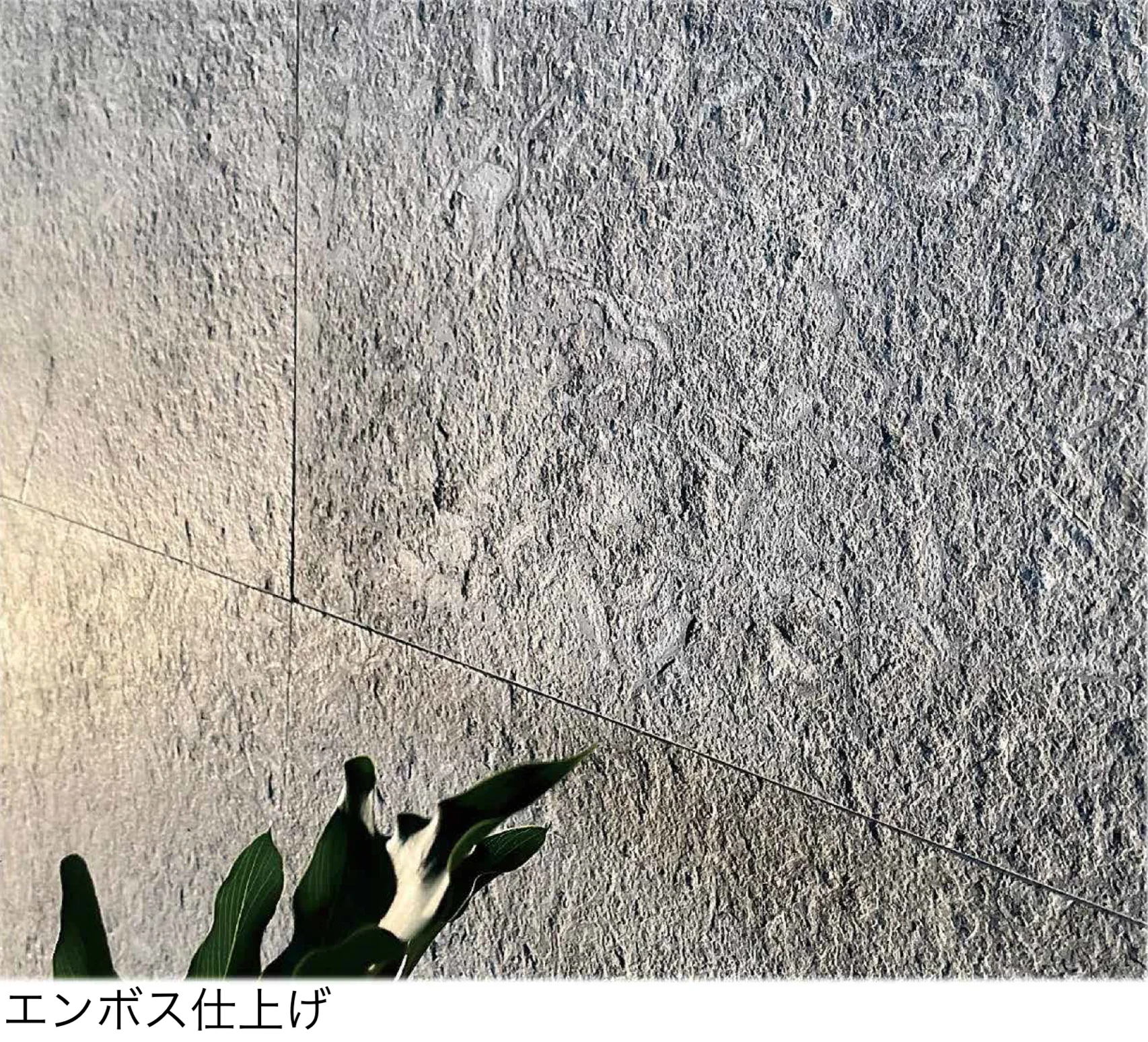 松下産業の「ベルデフォッシル」のサブ画像1