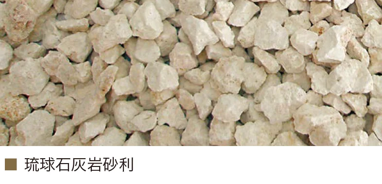 オンリーワンクラブの「琉球石灰岩」のサブ画像7