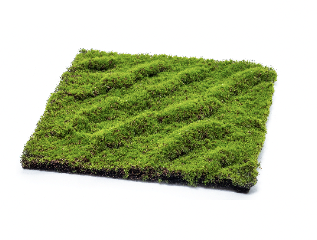 タカショー　室内用　人工植栽　苔マット タカショー | 苔マット【2026年版】 | 建材サーチ